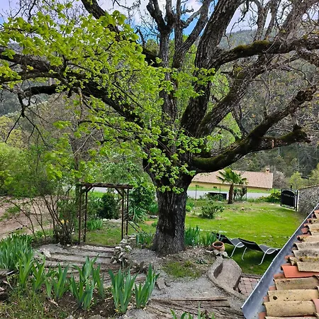 Bed & Breakfast Mas De Chalvagne Val-de-Chalvagne