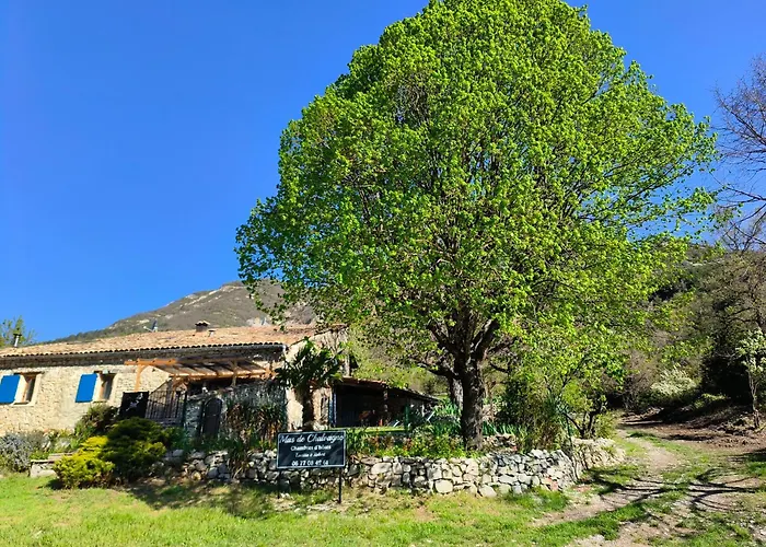 Mas De Chalvagne Bed & Breakfast *